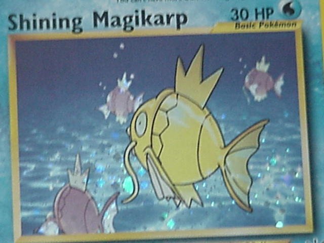 shiny magikarp card