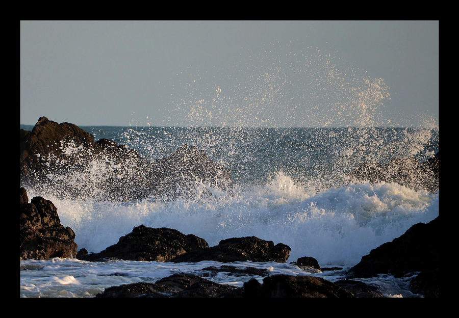 Apres la Vague