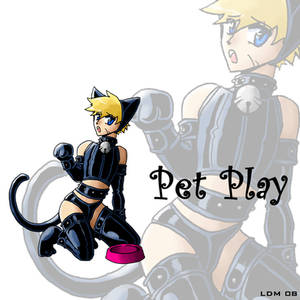 :PET PLAY: KITTEN PLAY