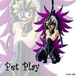 :PET PLAY: AVIAN PLAY