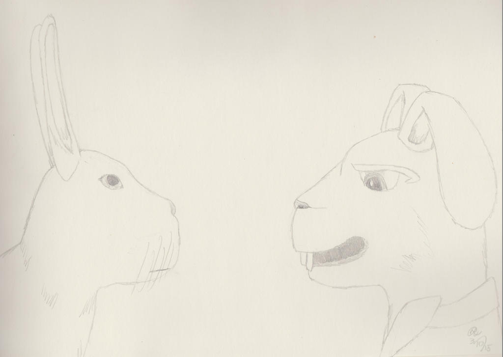 Unamused Rabbit Real Rabbit is Unamused by RookieTiger on DeviantArt