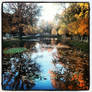 Reflection in the Tiergarten Berlin - 2012