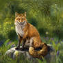 Celtic fox