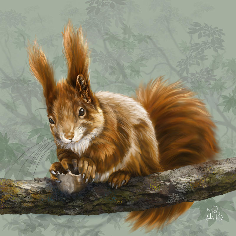 Squirrel Deviantart The squirrel by enjibarriere on DeviantArt