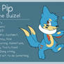 Comm: Pip the Buizel