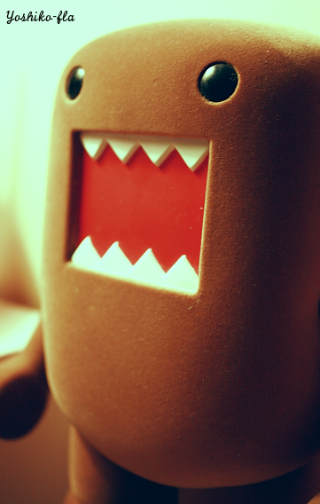 Domo Domo