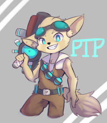 Paladins :PIP