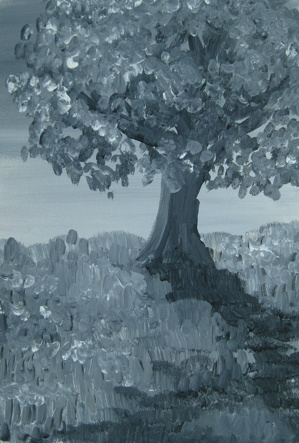 Tree Graphics Bw BW Tree by jpmorrow on DeviantArt
