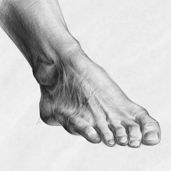 Foot Study by NICK--LYRE on DeviantArt