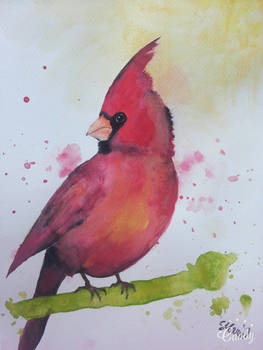 Watercolor Cardinal