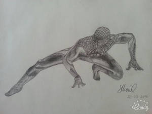 Spiderman sketch