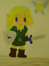 link and navi