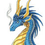 Blue dragon Firenze