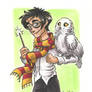 Harry and Hedwig