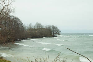 Stormy Coast Visingso