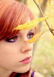 Autumn Eyes