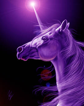 Purple unicorn