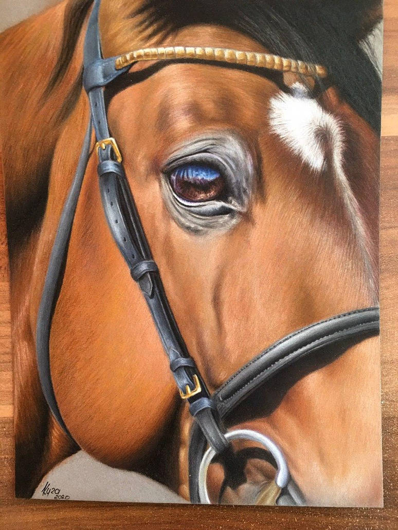 Horse close-up portrait