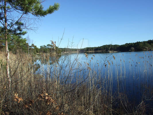 Round the Lake