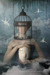 A Caged Mind by SummerDreams-Art