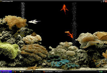 Flash interactive Fish