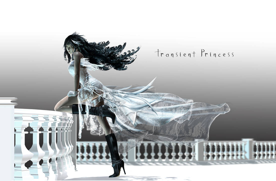Transient Princess by montyoum