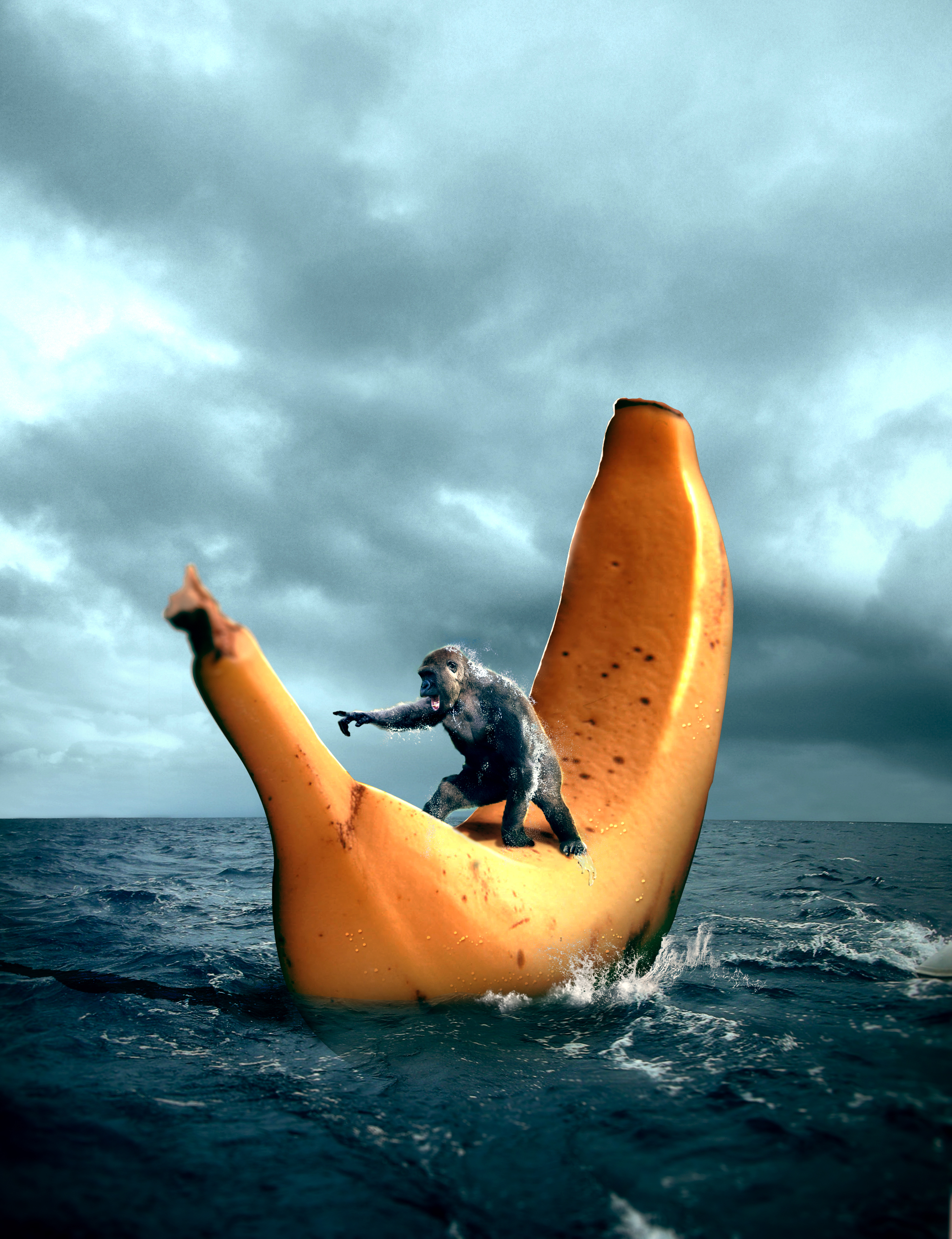 Sailing Banana