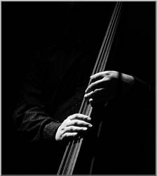 The bass player