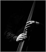 The bass player