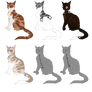 Cat adoptables - #2 OPEN - PRICE LOWERED