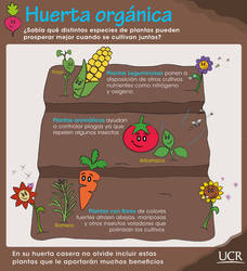 Infografia 39