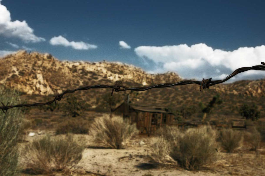 Selective Vision by MichelleRoberts2 on DeviantArt