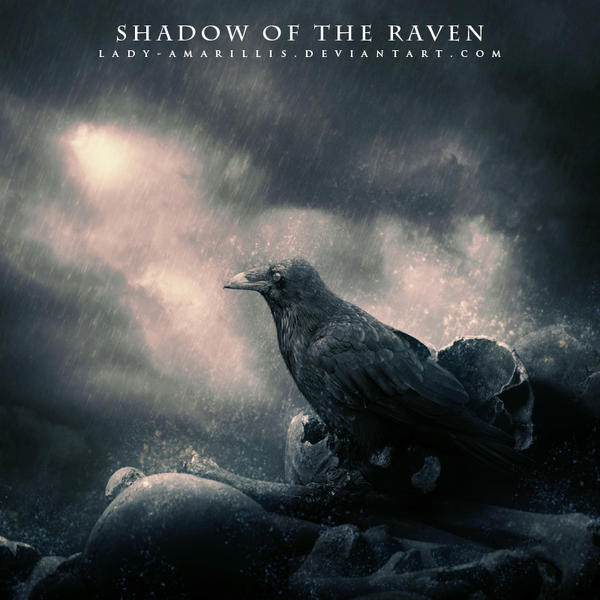 Shadow Of The Raven