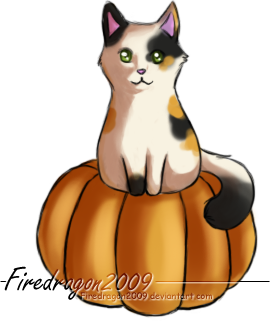 Pumpkin Kitty~