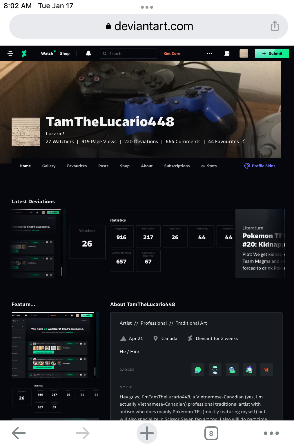 Generic Deviantart Profile Profile page by TamTheLucario448 on DeviantArt