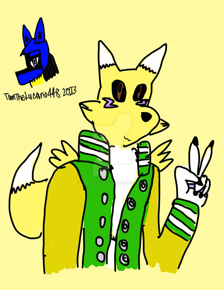 Custom Renamon Me as a Renamon by TamTheLucario448 on DeviantArt