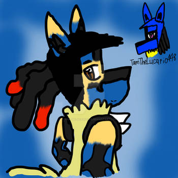 Mega Lucario TF