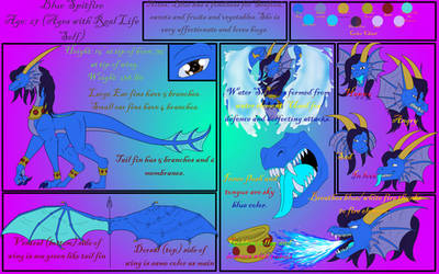 Collab with Naeda - Blue Spitfire Reference Sheet by DragonessBlue