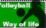 Volleyball Way of Life