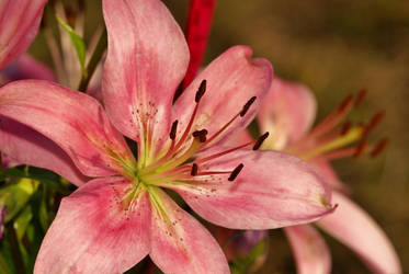 .:.MyDreamsAreEmptyWithoutYou.:. by AdARDurden