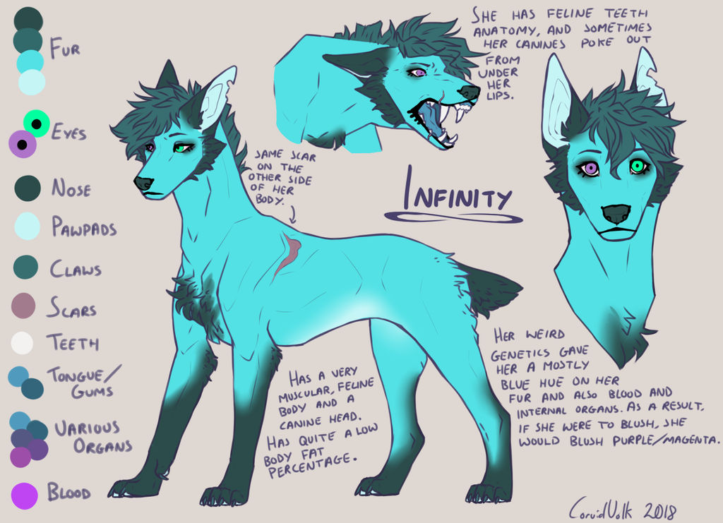 Infinity Reference (September 2018) by CorvidVolk on DeviantArt