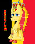 Belgium Pony (REDRAW) by HiroUltimate