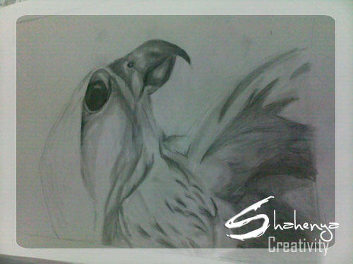 .. Falcon Sketch _ step 4 ..