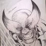 Wolverine by Antonio Uchoa