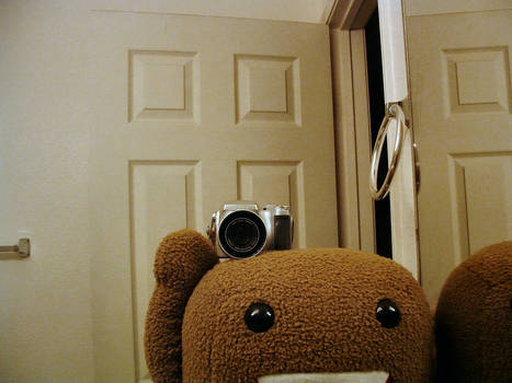 domokun takes scene pictures