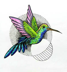 Hummingbird - Colibri