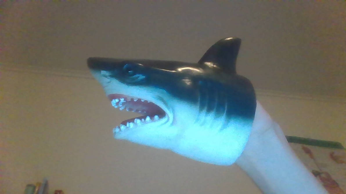 Sharks Puppet Rip Shark Puppet (My Version) by SharkPuppetFan on DeviantArt