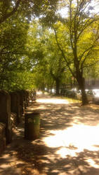 Riverside Park: Sidewalk at 84th Street