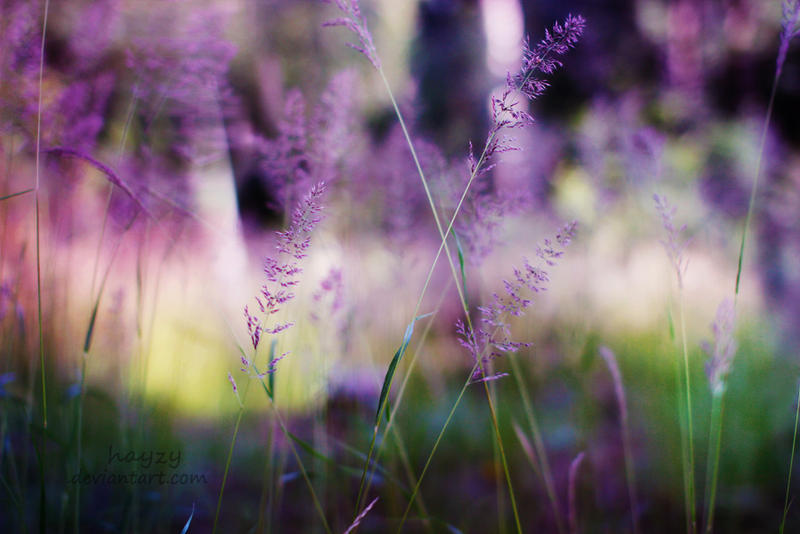color of the wind by hayzy color of the wind by hayzy