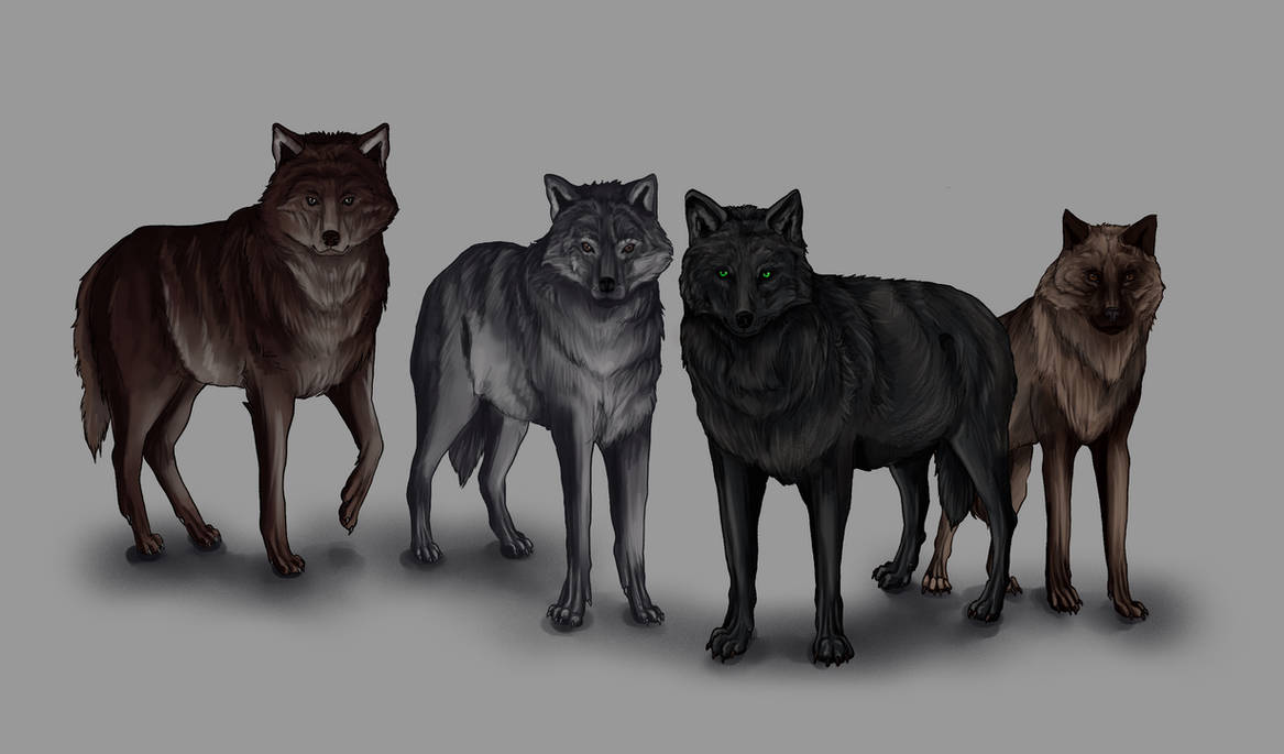 Cd Rudd Deviantart Wolfpack Wolf pack by Teejka on DeviantArt